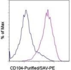 Integrin beta 4/CD104 Antibody (439-9B) - BSA Free, Novus Biologicals:Antibodies:Primary