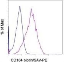 Integrin beta 4/CD104 Antibody (439-9B) - BSA Free, Novus Biologicals:Antibodies:Primary