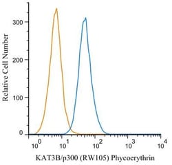 KAT3B/p300 Antibody (RW105) - BSA Free, Novus Biologicals 0.025 mg, Unconjugated:Antibodies,