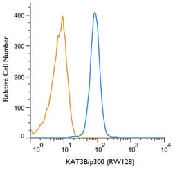 KAT3B/p300 Antibody (RW128) - BSA Free, Novus Biologicals:Antibodies:Primary