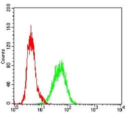 Ku70/XRCC6 Antibody (7A9E7) - BSA Free, Novus Biologicals 0.1mg; Unlabeled:Antibodies,