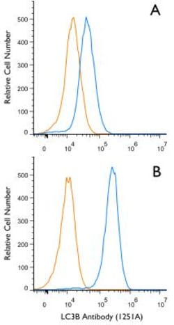 LC3B Antibody (1251A) - BSA Free, Novus Biologicals:Antibodies:Primary