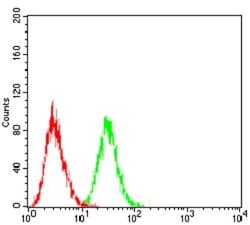 LHR Antibody (8G9A2) - BSA Free, Novus Biologicals:Antibodies:Primary Antibodies