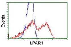 LPAR1/LPA1/EDG-2 Antibody (OTI1G6), Novus Biologicals 0.1mL; Unlabeled:Antibodies,