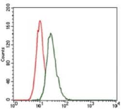 LRP-5 Antibody (2B11) - BSA Free, Novus Biologicals 0.1mL; Unlabeled:Antibodies,