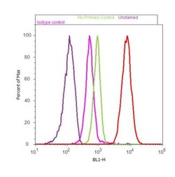 LXR alpha/NR1H3 Antibody, Novus Biologicals 50 &mu;g, Unconjugated:Antibodies,