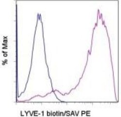 LYVE-1 Antibody (ALY7) - BSA Free, Novus Biologicals 0.1mg; Unlabeled:Antibodies,