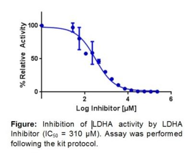 Novus Biologicals™ Lactate Dehydrogenase A Inhibitor Screening Assay Kit (Colorimetric) 100