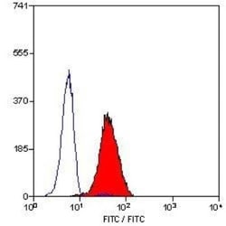 Leukotriene B4 R1 Antibody (202/7B1) - BSA Free, Novus Biologicals 0.025