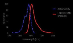 Novus Biologicals Lightning-Link (R) Rapid Alexa Fluor 568 Antibody Labeling Kit 1 mg | Buy Online | Novus Biologicals&trade; | Fisher Scientific