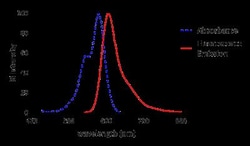 Novus Biologicals™ Lightning-Link (R) Rapid Alexa Fluor 568 Antibody Labeling Kit