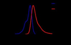 Novus Biologicals Lightning-Link (R) Rapid Alexa Fluor 594 Antibody Labeling Kit 1 mg | Buy Online | Novus Biologicals&trade; | Fisher Scientific