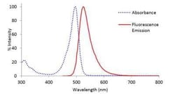 Novus Biologicals Lightning-Link (R) Rapid Alexa Fluor 488 Antibody Labeling Kit 1 mg | Buy Online | Novus Biologicals&trade; | Fisher Scientific