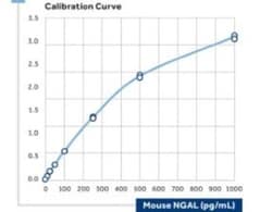 Lipocalin-2/NGAL Antibody (29) - BSA Free, Novus Biologicals 0.1 mg; Unconjugated:Antibodies,