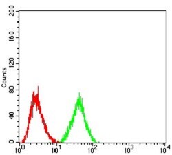 LRP-1 Antibody (1F6C6) - BSA Free, Novus Biologicals 0.025 mg | Buy Online | Novus Biologicals | Fisher Scientific
