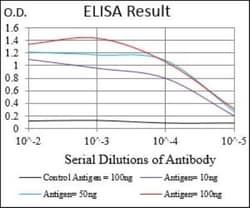M-CSFR/CD115 Antibody (6B9B9) - BSA Free, Novus Biologicals 0.025 mL | Buy Online | Novus Biologicals | Fisher Scientific