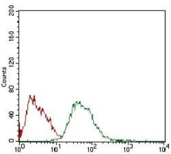 M-CSFR/CD115 Antibody (6B9H2) - BSA Free, Novus Biologicals 0.1mL; Unlabeled:Antibodies,