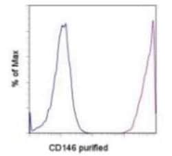 MCAM/CD146 Antibody (P1H12) - BSA Free, Novus Biologicals 0.1mg; Unlabeled:Antibodies,