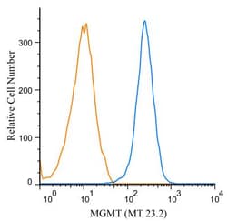 MGMT Antibody (MT 23.2) - BSA Free, Novus Biologicals:Antibodies:Primary