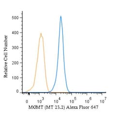 MGMT Antibody (MT 23.2) - BSA Free, Novus Biologicals:Antibodies:Primary