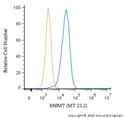 MGMT Antibody (MT 23.2) - BSA Free, Novus Biologicals:Antibodies:Primary
