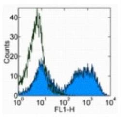 MHC class II (I-A/I-E) Antibody (M5/114.15.2) - BSA Free, Novus Biologicals