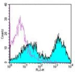 MHC class II (I-A/I-E) Antibody (M5/114.15.2) - BSA Free, Novus Biologicals