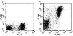 MHC class II (I-A/I-E) Antibody (M5/114.15.2) - BSA Free, Novus Biologicals