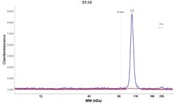 MOCOS Antibody, Novus Biologicals:Antibodies:Primary Antibodies
