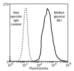 Methylglyoxal Antibody (9E7), Novus Biologicals:Antibodies:Primary Antibodies