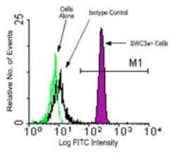 Monocyte/Granulocyte Antibody (74-22-15) - Azide and BSA Free, Novus Biologicals