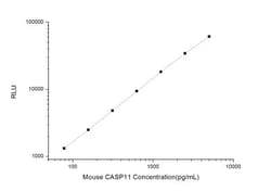 Novus Biologicals&trade;&nbsp;Mouse Caspase-11 ELISA Kit (Chemiluminescence)