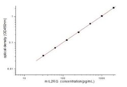 Novus Biologicals&nbsp;Mouse Common gamma Chain/IL-2 R gamma ELISA Kit (Colorimetric)
