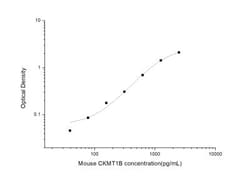 Novus Biologicals&trade;&nbsp;Mouse Creatine kinase MT 1B ELISA Kit (Colorimetric)
