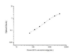 Novus Biologicals™ Mouse HO-1/HMOX1/HSP32 ELISA Kit (Colorimetric)
