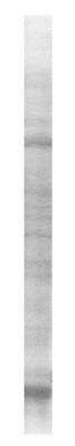 Novus Biologicals Mouse Kidney Whole Tissue Lysate (Adult Whole Normal) 1 mg | Buy Online | Novus Biologicals&trade; | Fisher Scientific