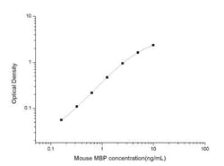 Novus Biologicals™ Mouse MBP ELISA Kit (Colorimetric)