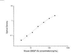 Novus Biologicals™ Mouse OMgp Autoantibody ELISA Kit (Colorimetric)