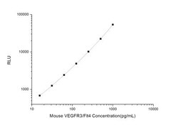 Novus Biologicals Mouse VEGFR3/Flt-4 ELISA Kit (Chemiluminescence) 1 Kit:Immunoassay