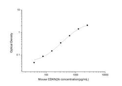 Novus Biologicals&trade;&nbsp;Mouse p16INK4a/CDKN2A ELISA Kit (Colorimetric)