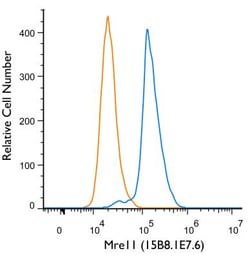 Mre11 Antibody (15B8.1E7.6) - BSA Free, Novus Biologicals 0.025 mg | Buy Online | Novus Biologicals | Fisher Scientific