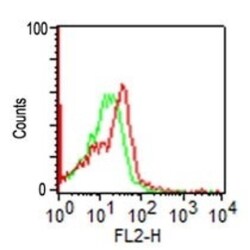 NCAM-1/CD56 Antibody (123C3.D5), Novus Biologicals 0.2mg; Unlabeled:Antibodies,