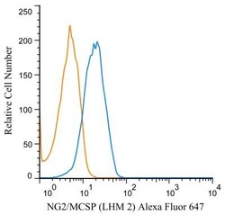NG2/MCSP Antibody (LHM 2), Novus Biologicals 0.1mL; Unlabeled:Antibodies,