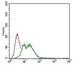 NG2/MCSP Antibody (LHM 2), Novus Biologicals 0.1mL; Unlabeled:Antibodies,