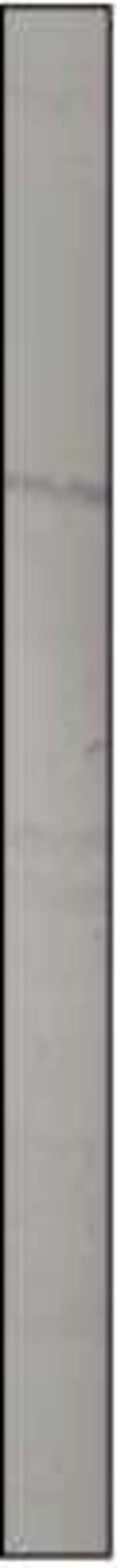 NPRB/NPR2 Antibody, Novus Biologicals 100 &mu;g; Unconjugated:Antibodies,