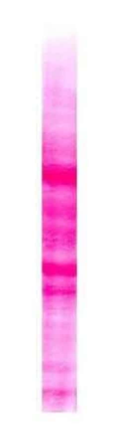 Novus Biologicals NTERA-2 Whole Cell Lysate 0.25 mg | Buy Online | Novus Biologicals&trade; | Fisher Scientific