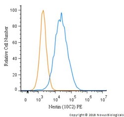 Nestin Antibody (10C2) - BSA Free, Novus Biologicals:Antibodies:Primary