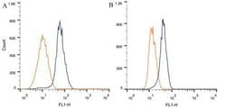 Notch-1 Antibody (mN1A) - BSA Free, Novus Biologicals 0.1mL; Unlabeled:Antibodies,