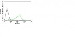 Nucleolin Antibody (NCL/902), Novus Biologicals 0.2mg; Unlabeled:Antibodies,