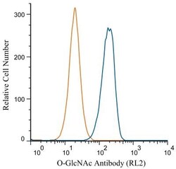 O-GlcNAc Antibody (RL2) - BSA Free, Novus Biologicals:Antibodies:Primary
